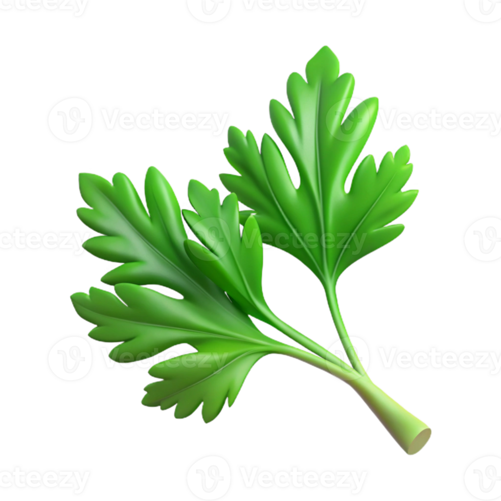 impressive modern Parsley Sprig Cutout with Fresh Green Color authentic png