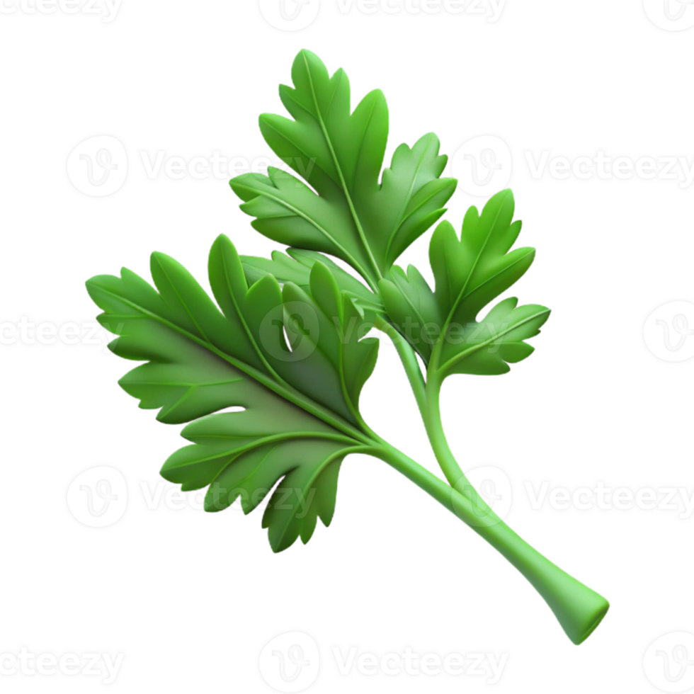 beautiful contemporary Parsley Sprig Cutout with Fresh Green Color high quality png