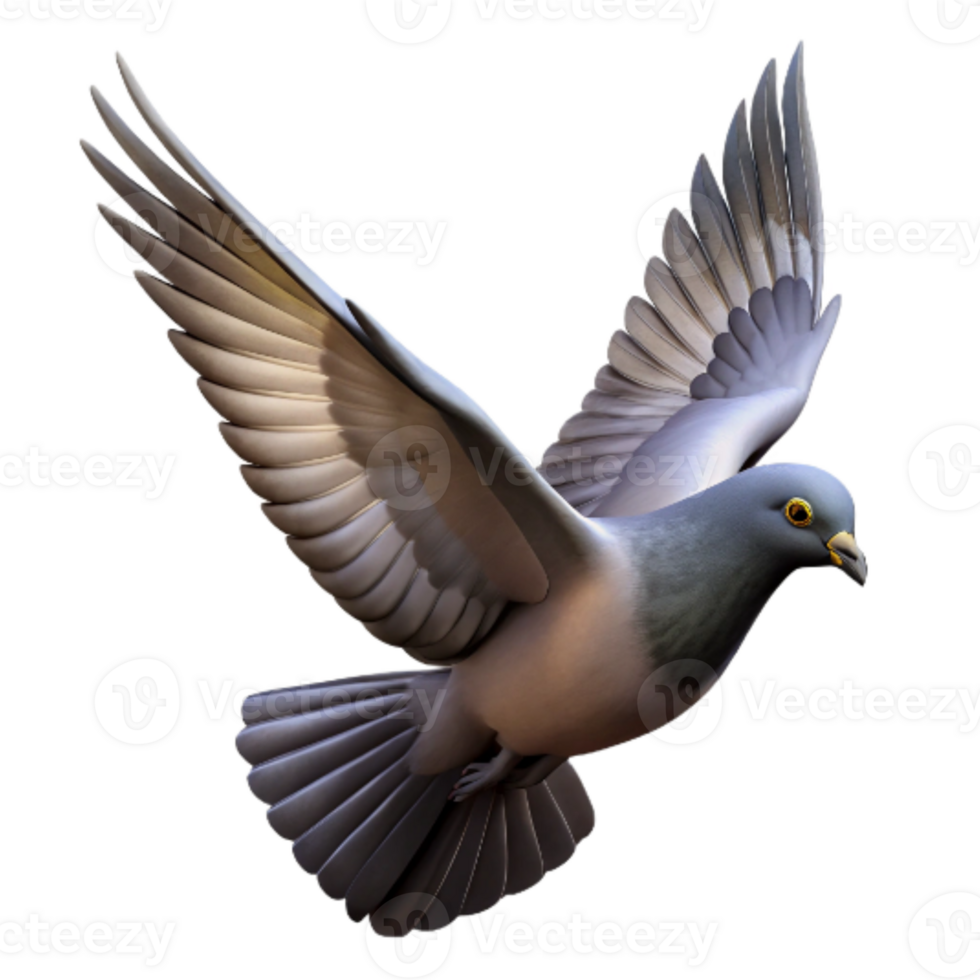 wonderful abstract Pigeon Silhouette Flying Overhead Isolated genuine png