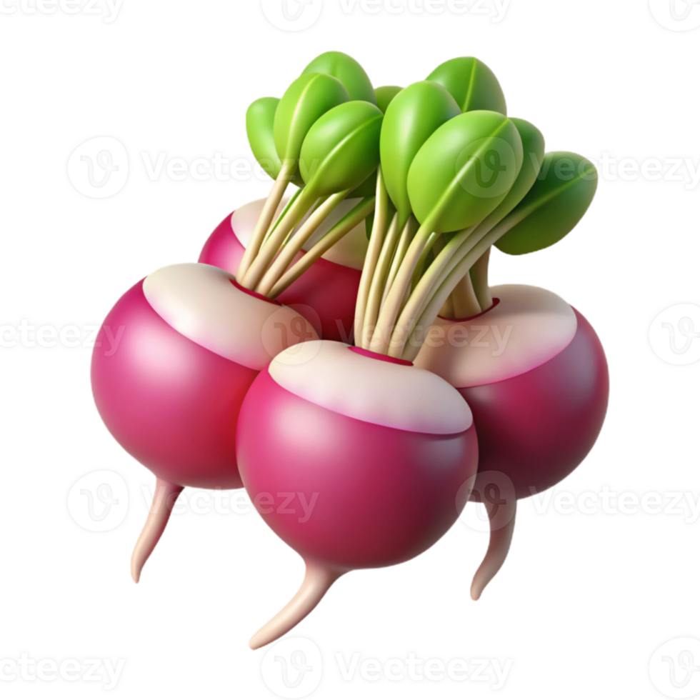 vibrant modern Radish Bunch Isolated on a Transparent Background png