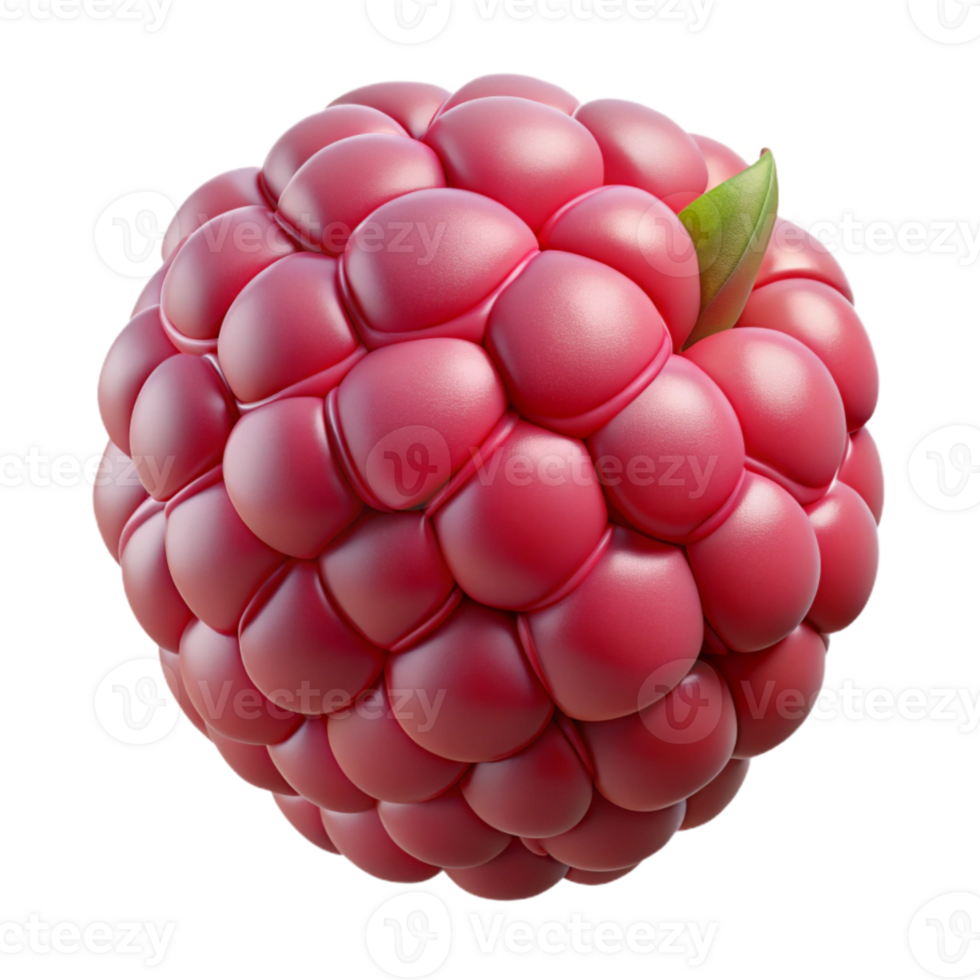 magnificent artistic Raspberry Close Up Isolated Element high resolution png