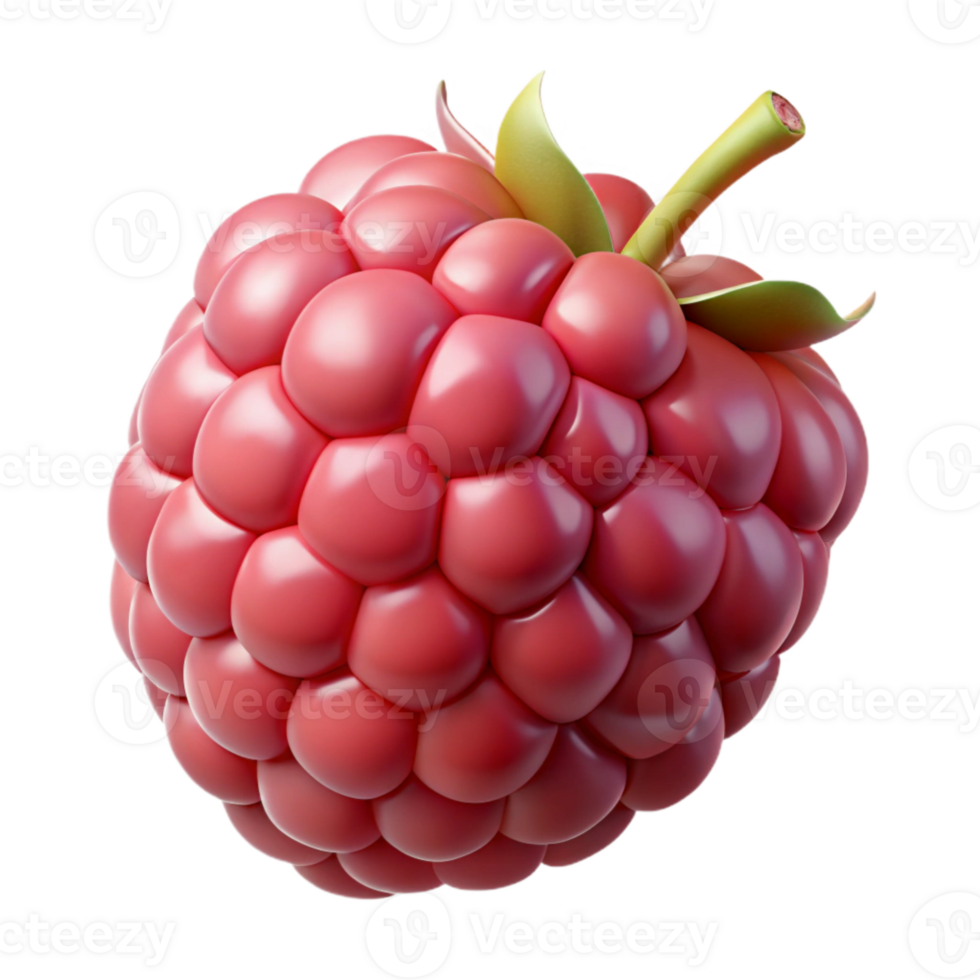 impressive classic Raspberry Single Fruit Isolated Element premium png