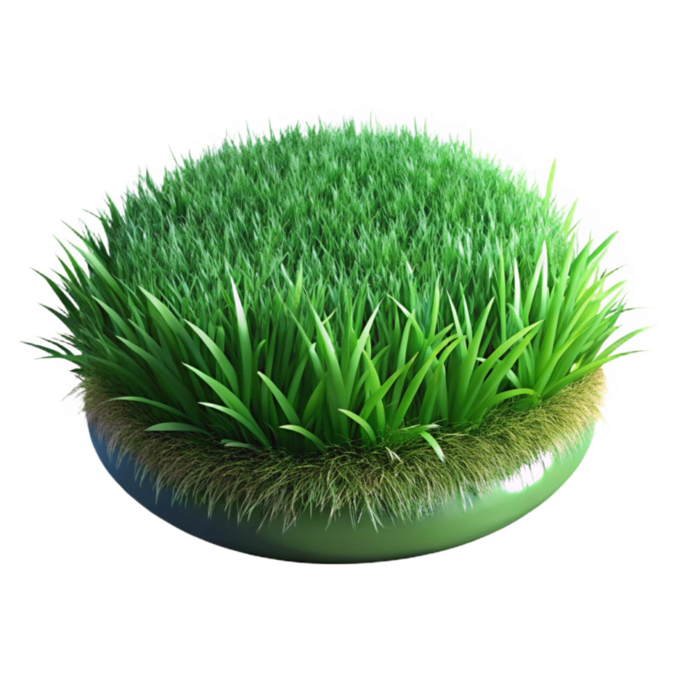 stunning vintage Realistic Green Grass with Transparent Background original png