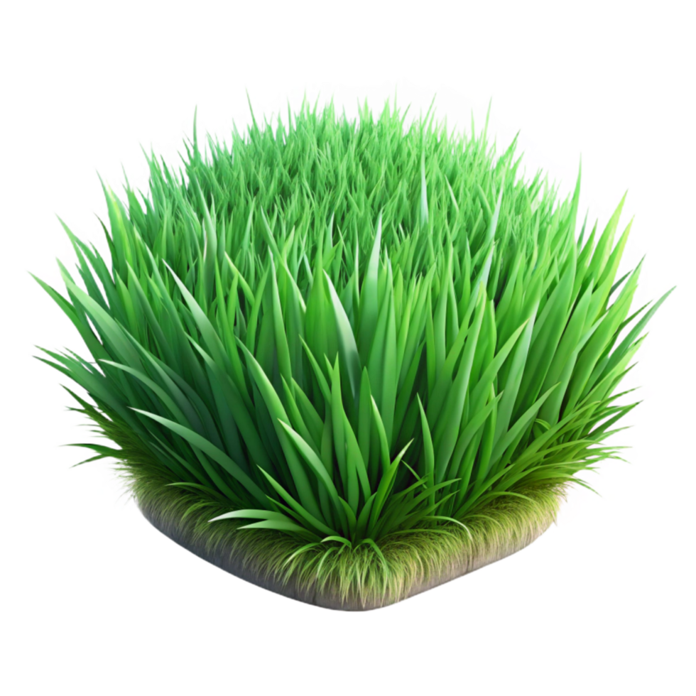 wonderful contemporary Realistic Green Grass with Transparent Background authentic png