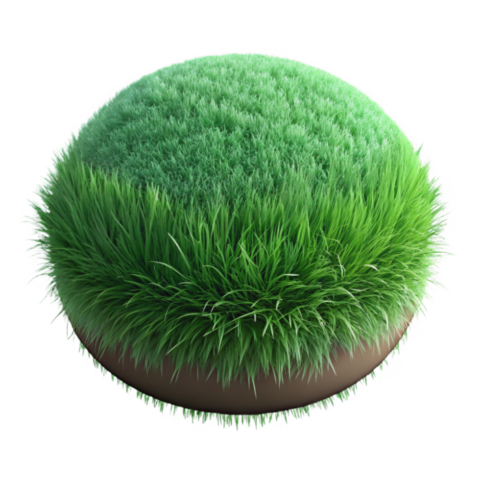 serene artistic Realistic Green Grass with Transparent Background png