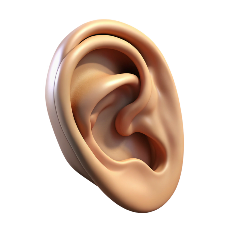 beautiful abstract Realistic Human Ear Side View Isolated original png