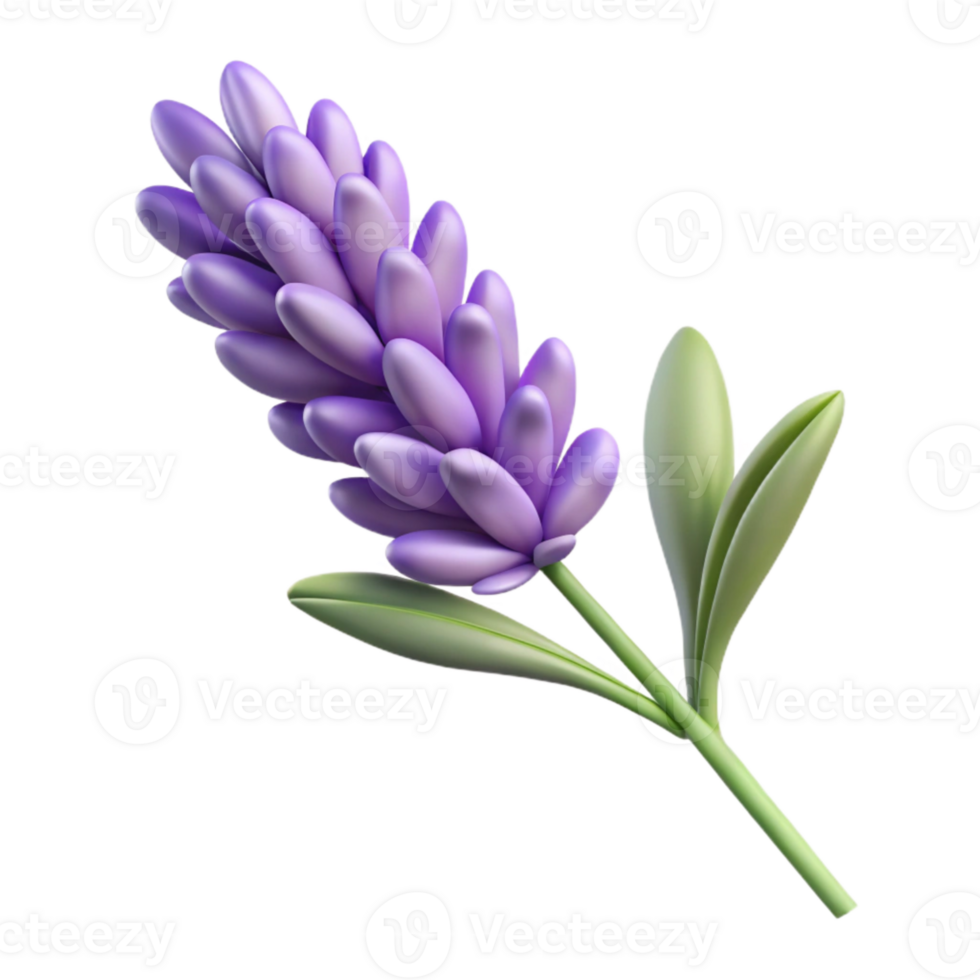 serene creative Realistic Lavender Sprig Isolated on Transparent Background exclusive png