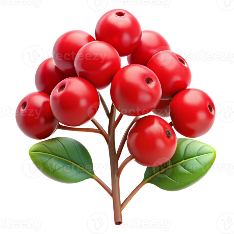 serene traditional Red Berry Bush Close Up Transparent Background professional png