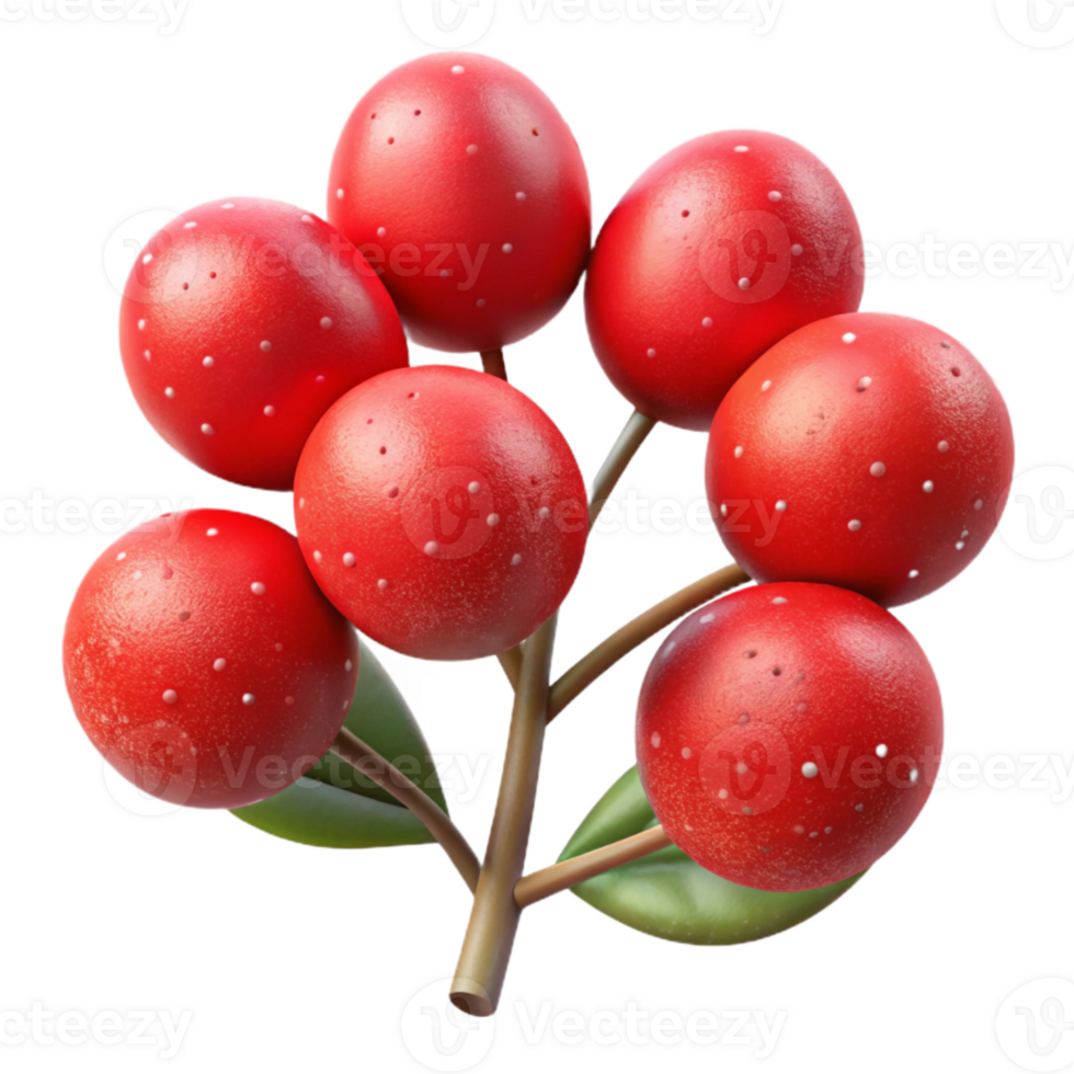 serene minimalist Red Berry Bush Close Up Transparent Background png