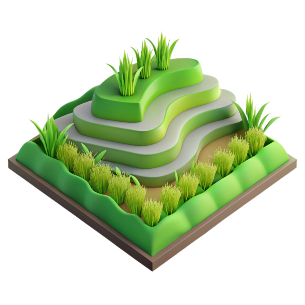 beautiful minimalist Rice Paddy Terraced Fields Green Rice Plants Isolated high quality png
