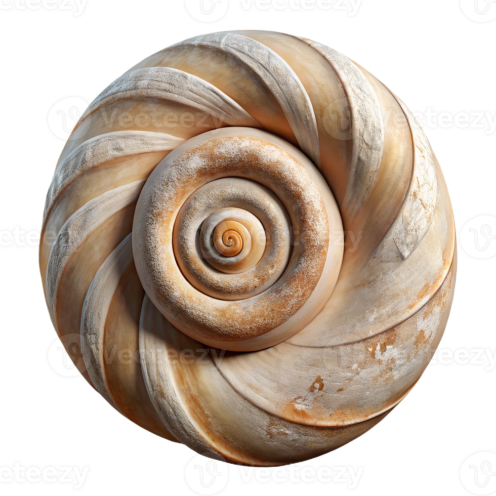 impressive creative Seashell Spiral Shape Cutout png