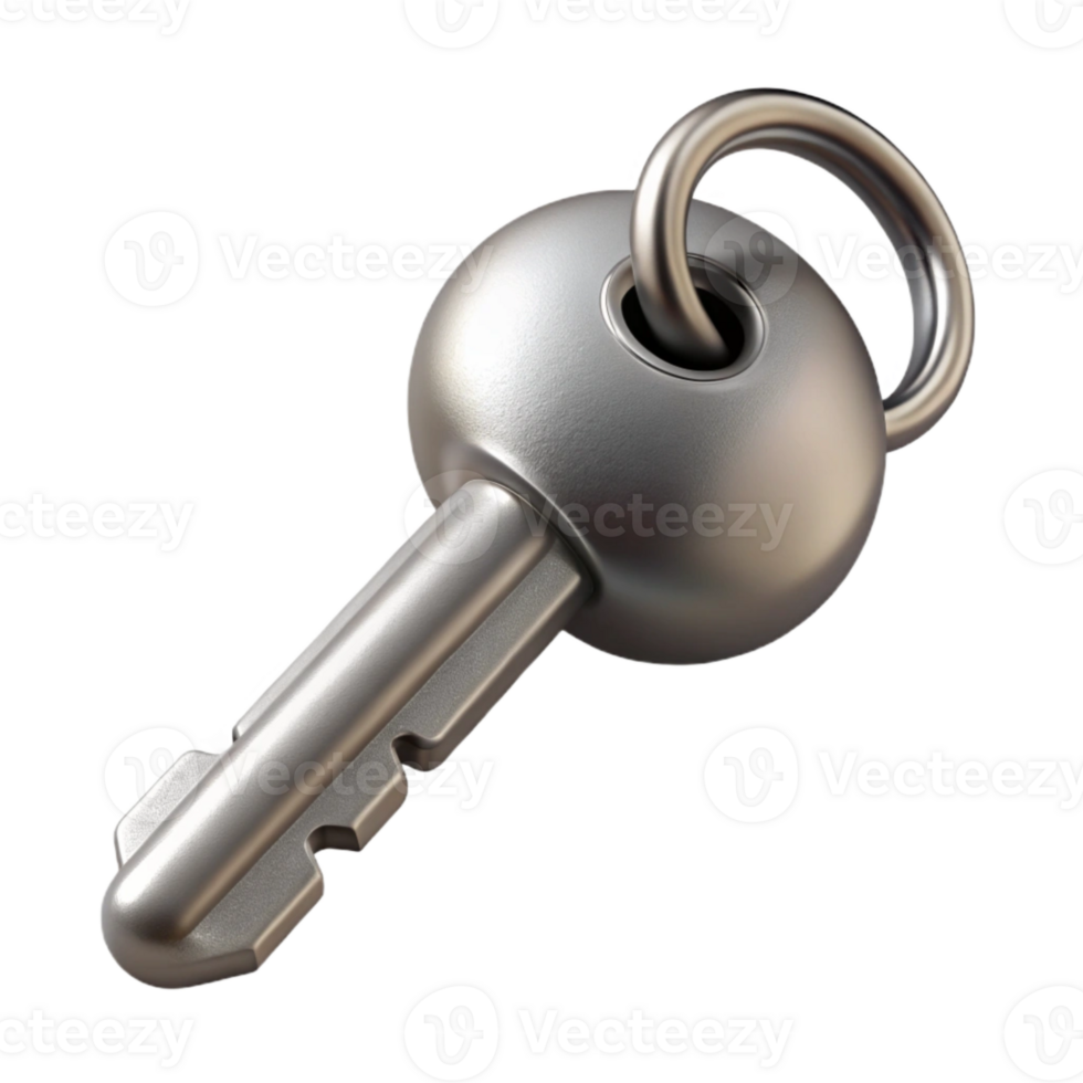 magnificent rustic Silver Key with Keychain Isolated Element high quality png