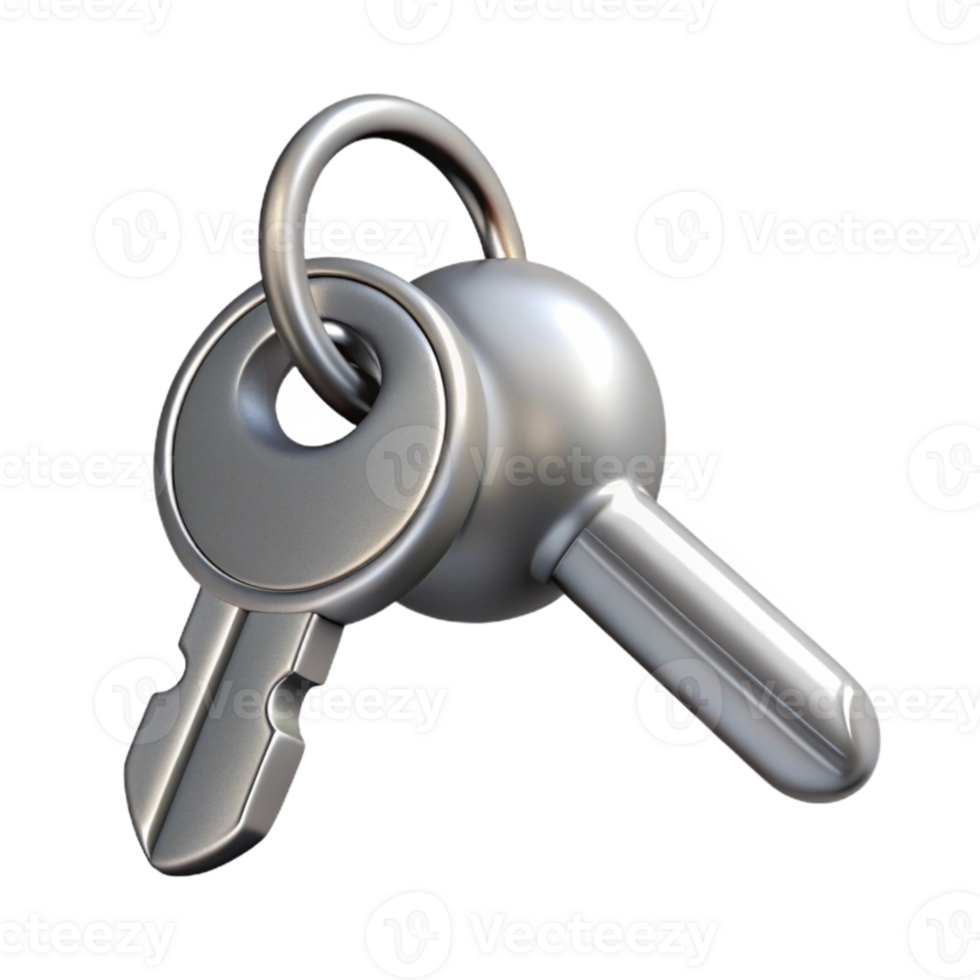 wonderful abstract Silver Key with Keychain Isolated Element premium png
