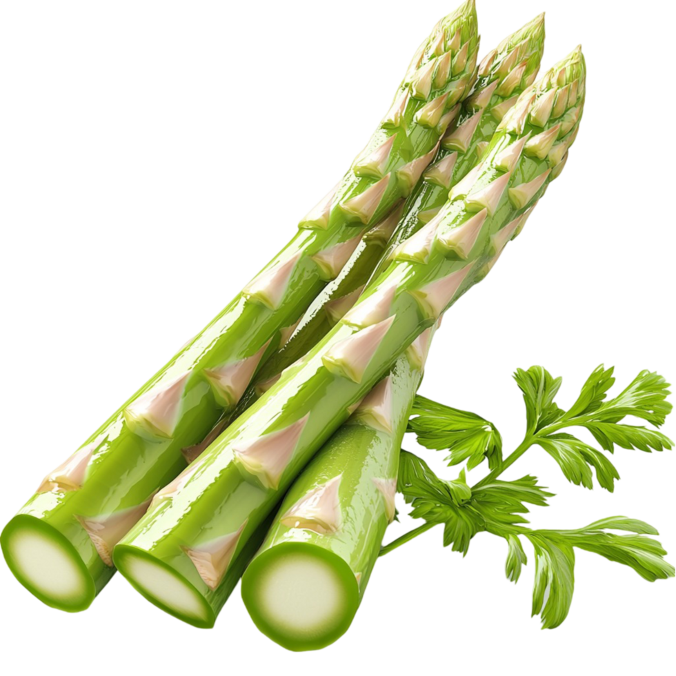 green asparagus spears with tender tips and leafy ends png