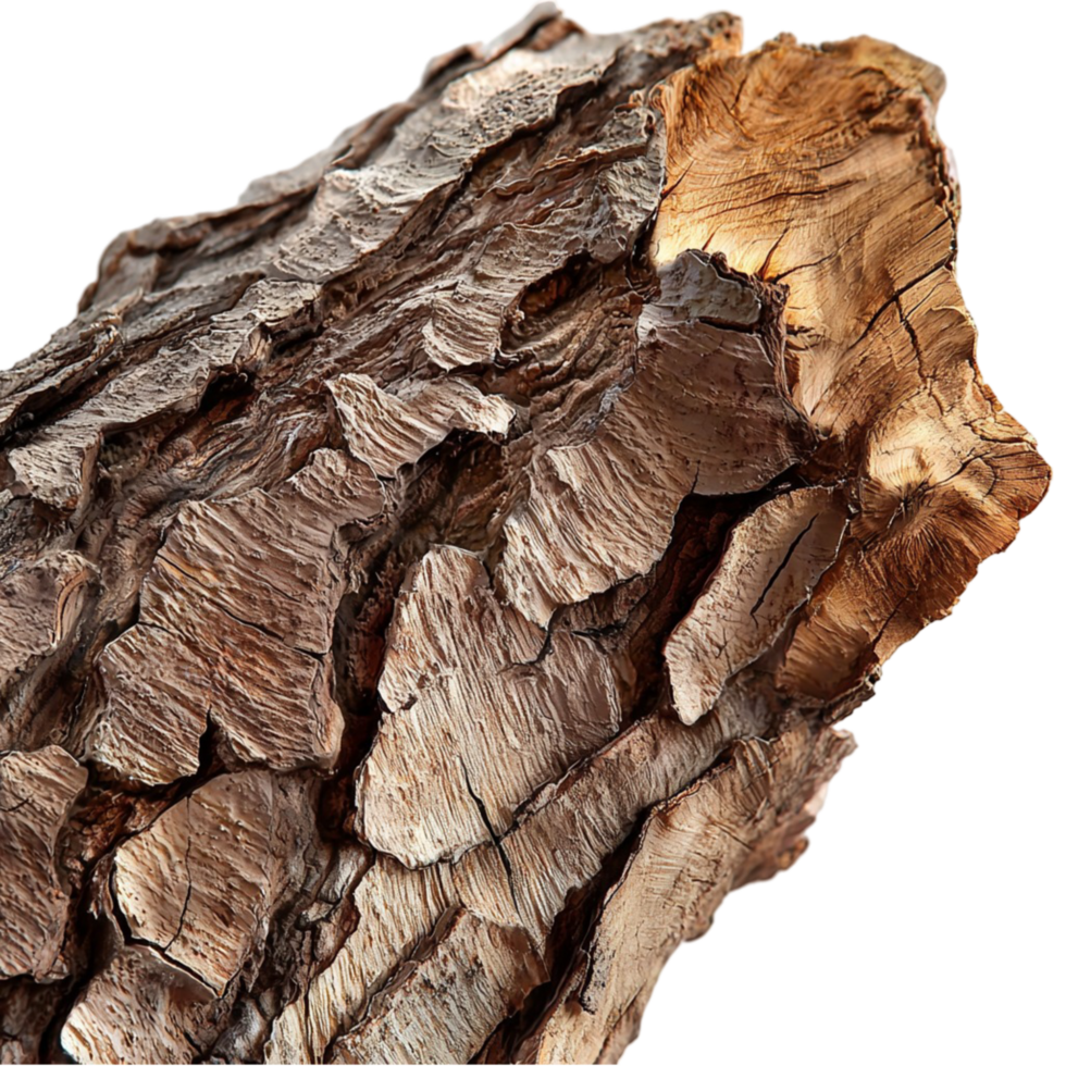 Rough textured tree bark with deep grooves and natural patterns png