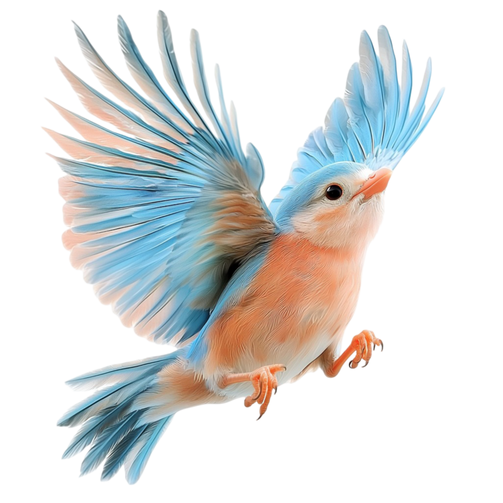 Graceful bluebird soaring in the sky delicate feather details png