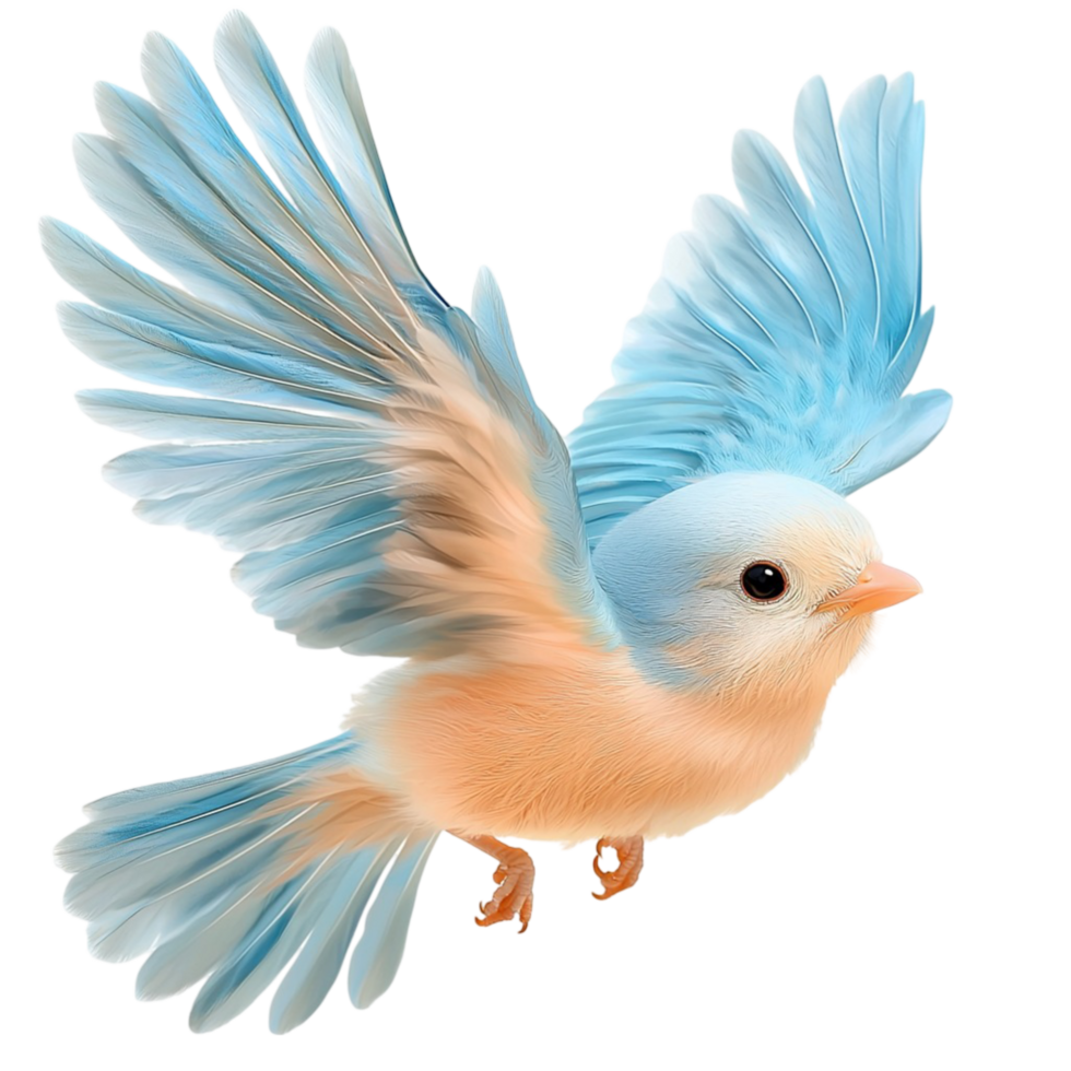 Flying bluebird vibrant wings and a dynamic pose png