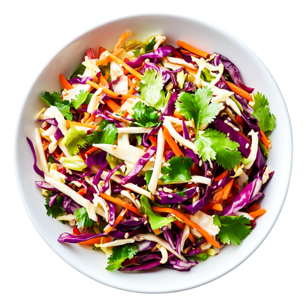 Fresh Colorful Cabbage Salad with Carrots and Herbs in Bowl png