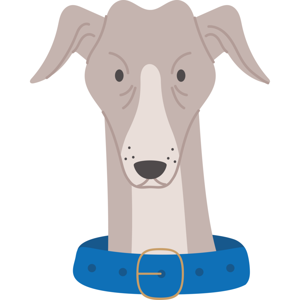 greyhound dog front view png