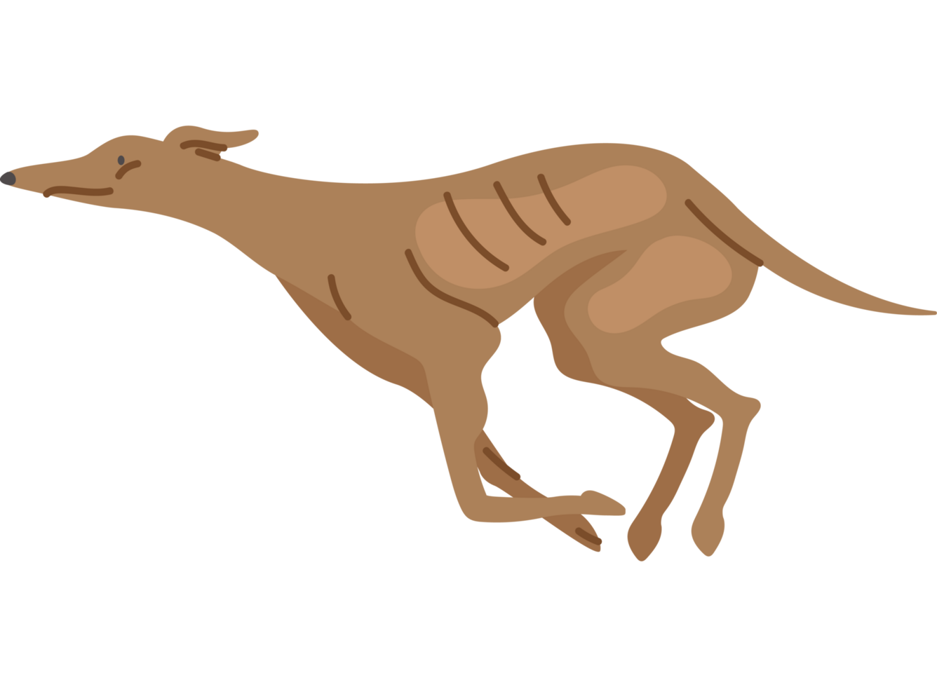 running greyhound dog icon png