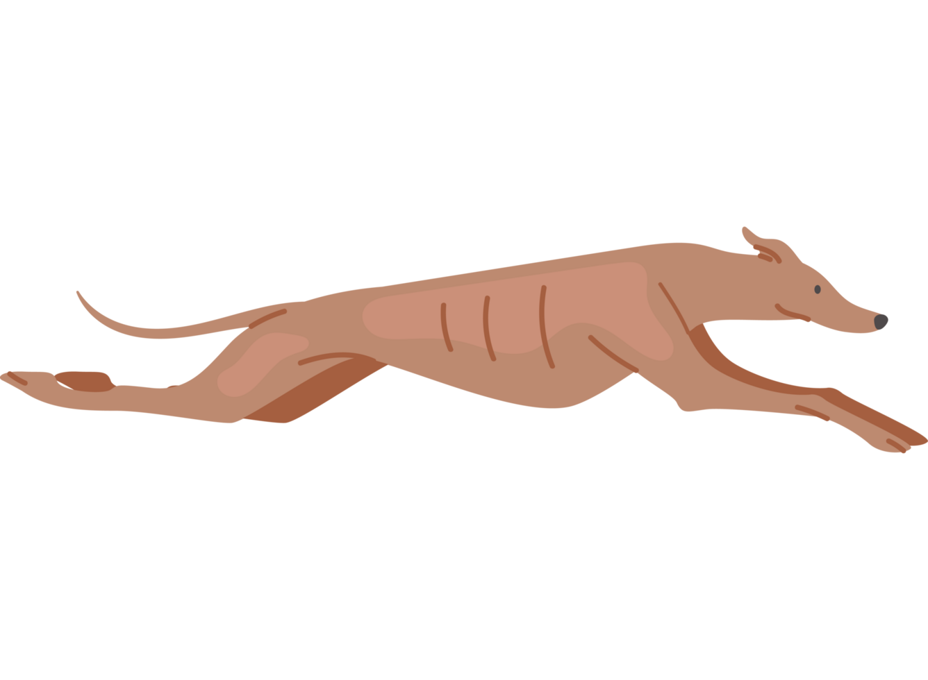 greyhound dog jumping icon png