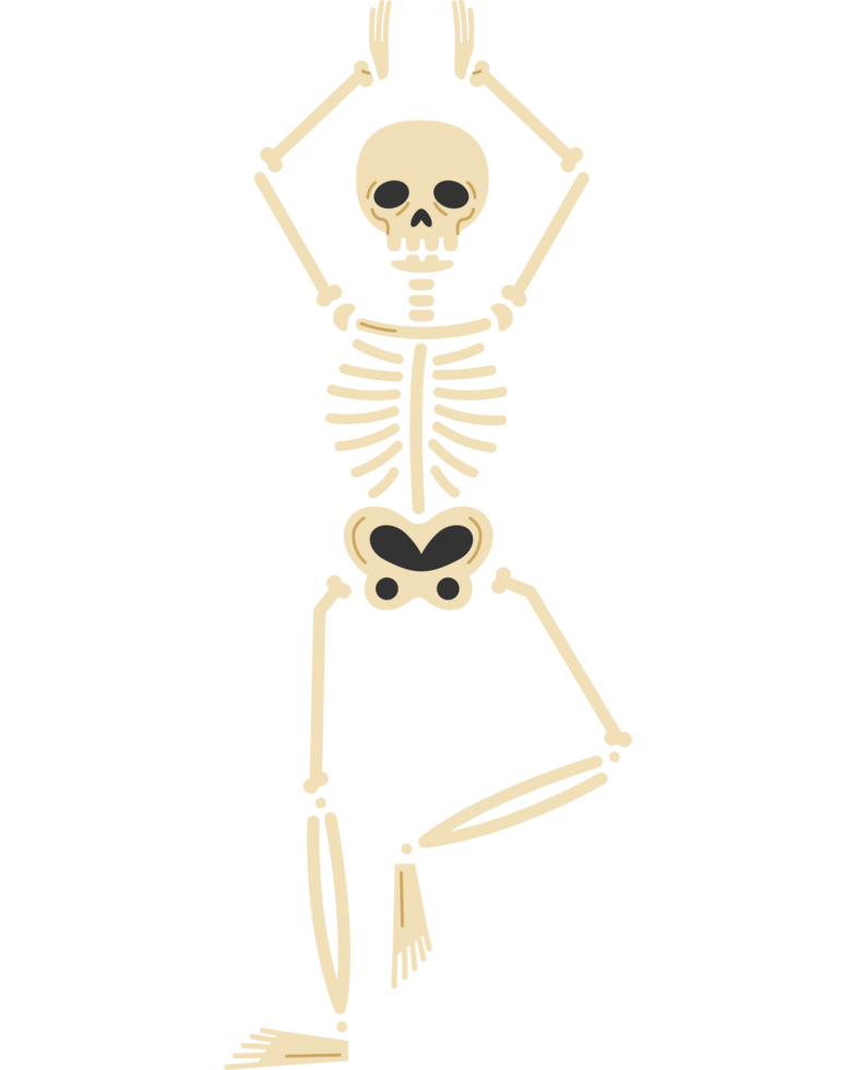 skeleton with hands up png