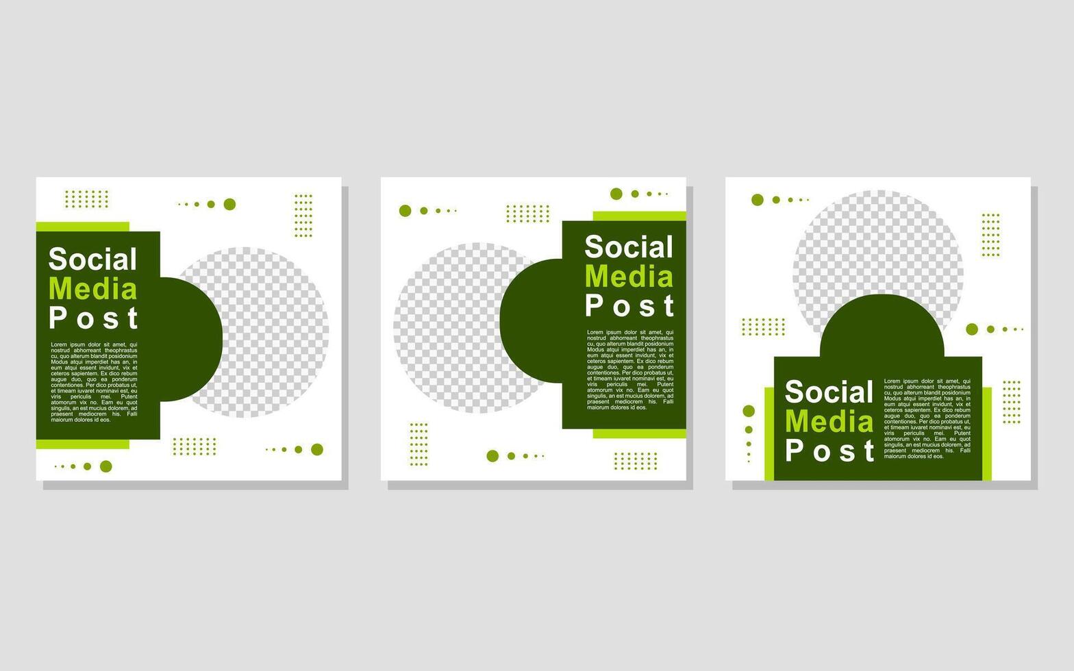 Social media post with three green and white templates. vector