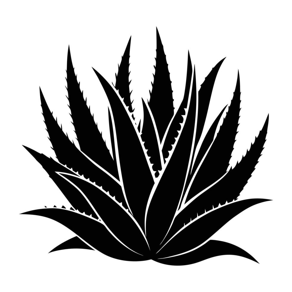 black and white silhouette of an aloe vera plant vector