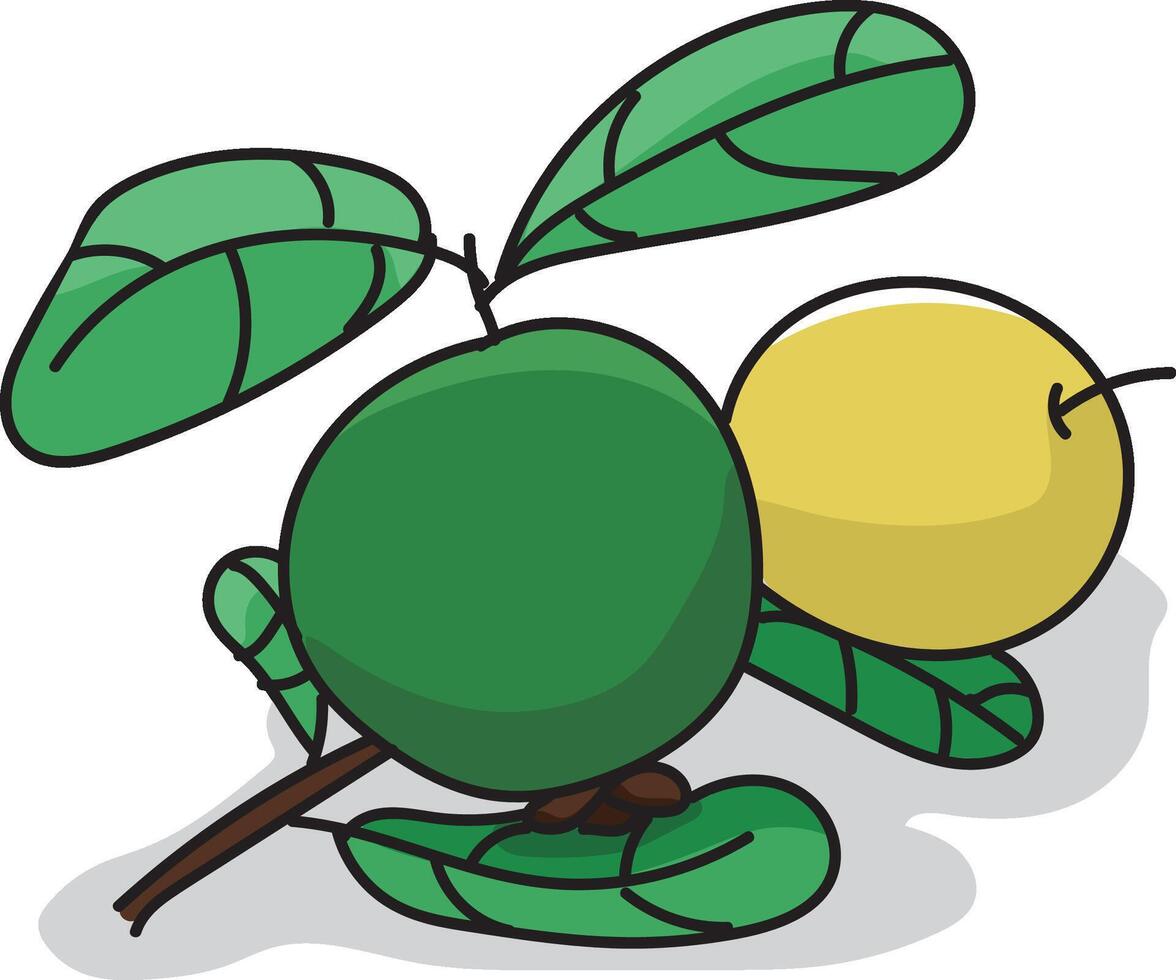 A Minimalist Illustration of a Ripe Guava, Showcasing Its Smooth, Round Shape and Vibrant Color, Highlighting the Fruit's Natural Beauty in a Clean and Simple Design vector