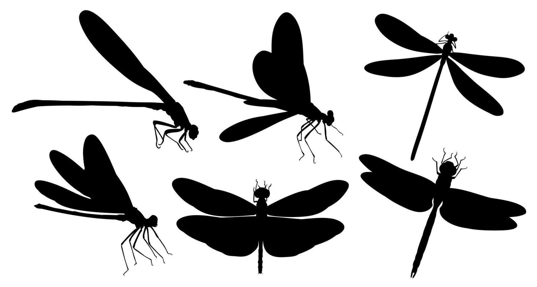 Set Dragonflies silhouettes. vector