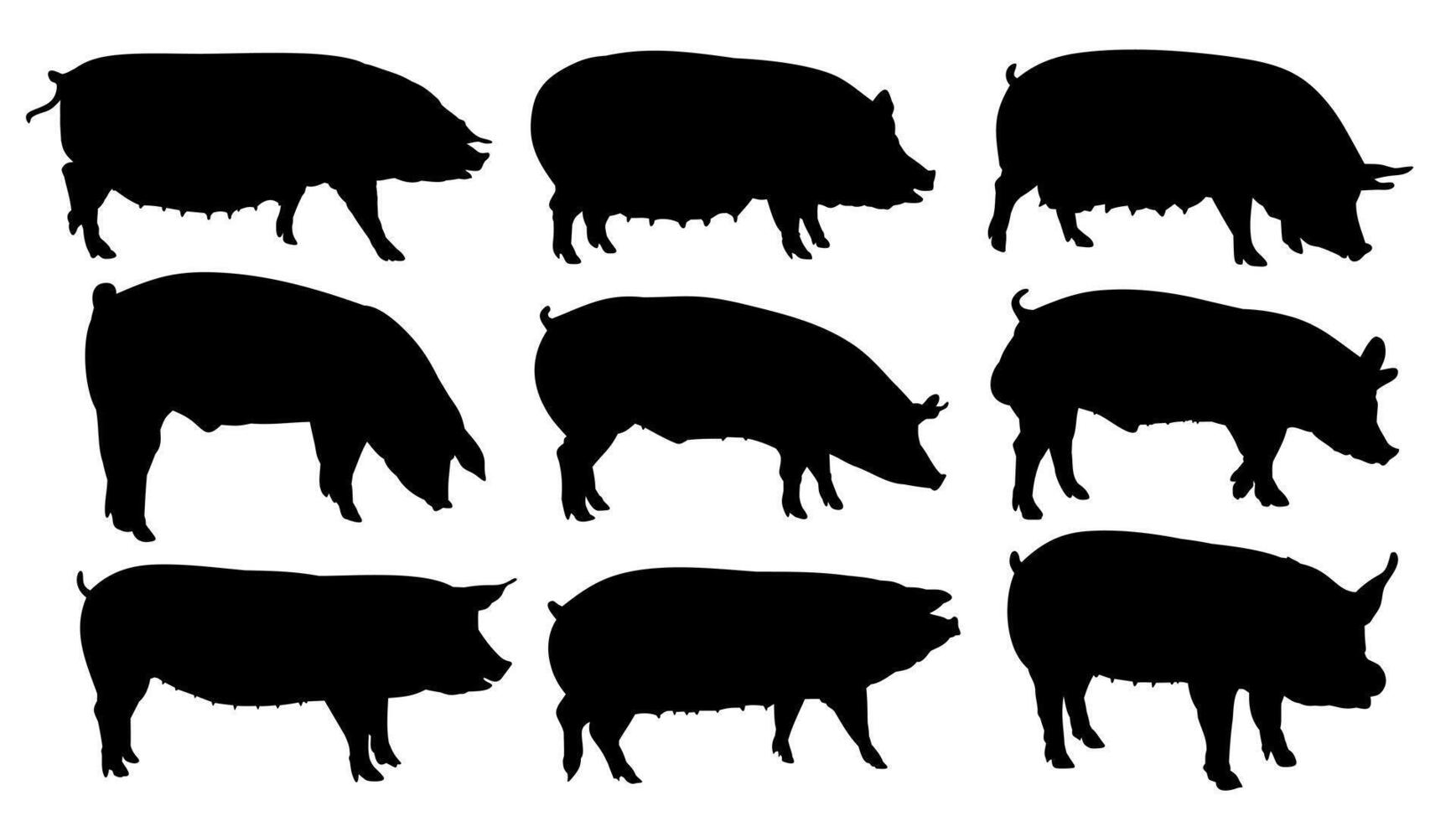 Silhouettes of pigs. vector