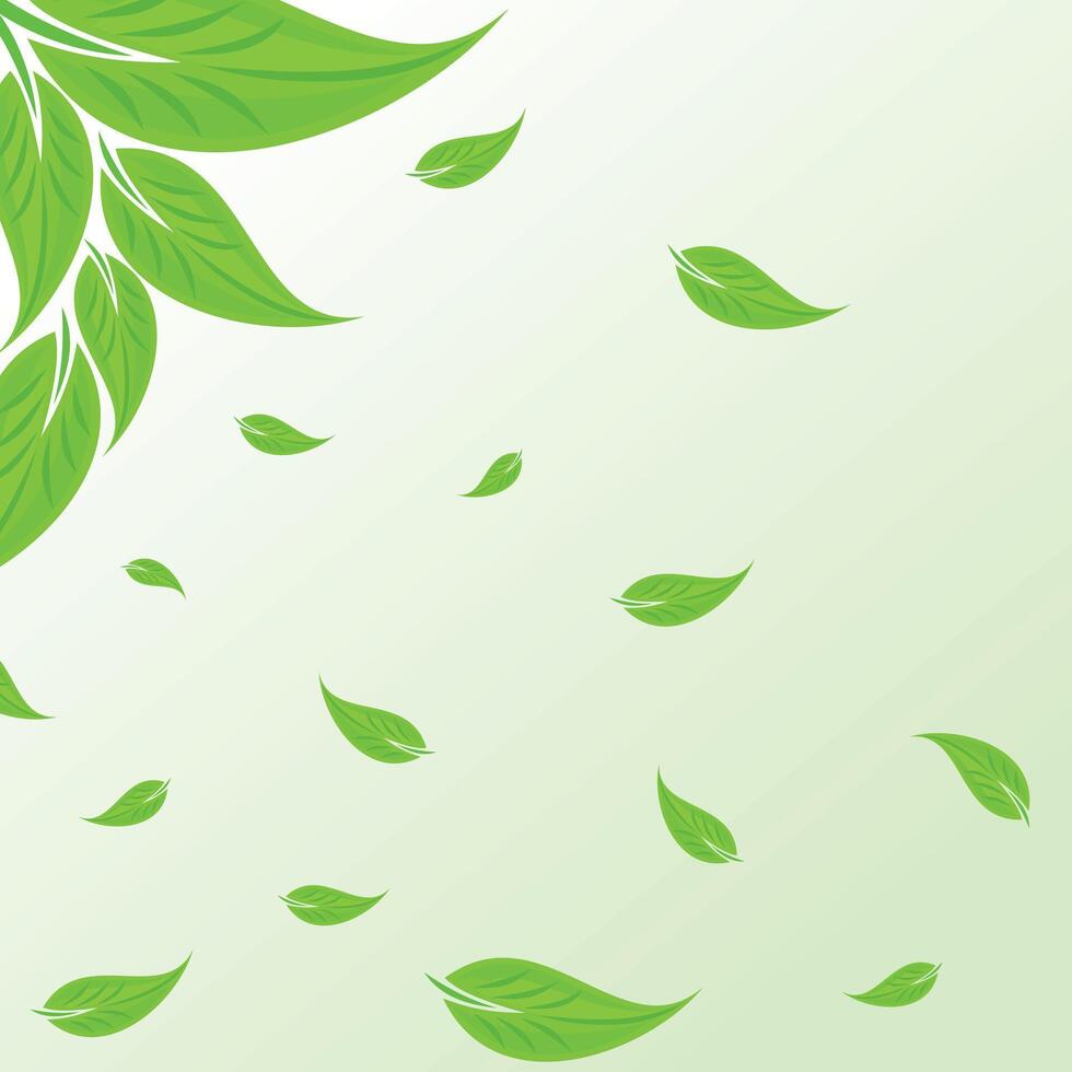 A background with the falling green leaves. vector