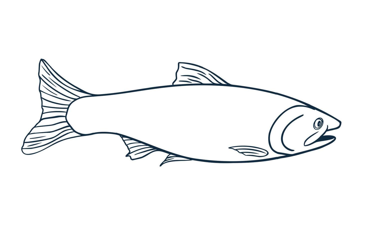 Trout fish black white illustration. Salmon monochrome sketch hand drawn. Nerka sea fish painted ink linear art. Sockeye drawing in contour. Design element for package, label, sign board. vector