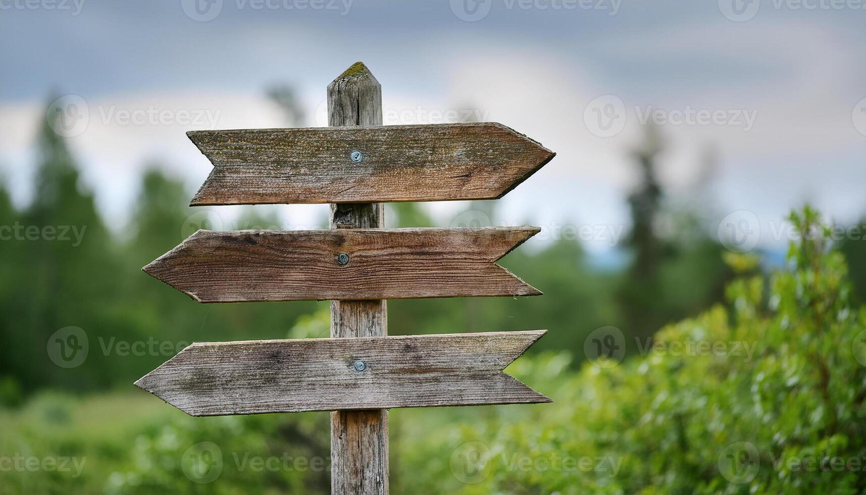Old wooden signpost with three 3 arrows against natural background. Pointer showing direction photo