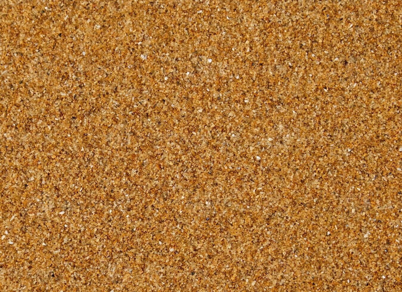 Close up Golden sand with fine texture of desert or beach. Granules small and tightly packed, uniform and natural pattern. Ideal for yellow textures, summer sun holiday concept or design elements photo