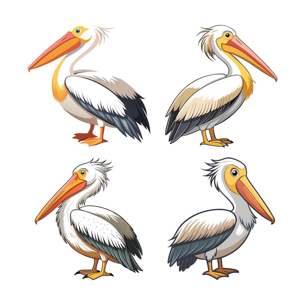 Set of Stunning Dalmatian Pelican Bird Artwork vector