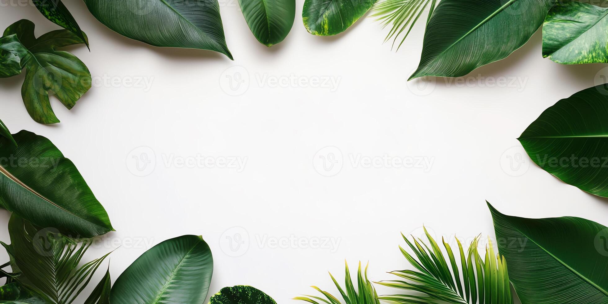 Assorted Green Leaves Frame a White Surface Top View Botanical Arrangement photo