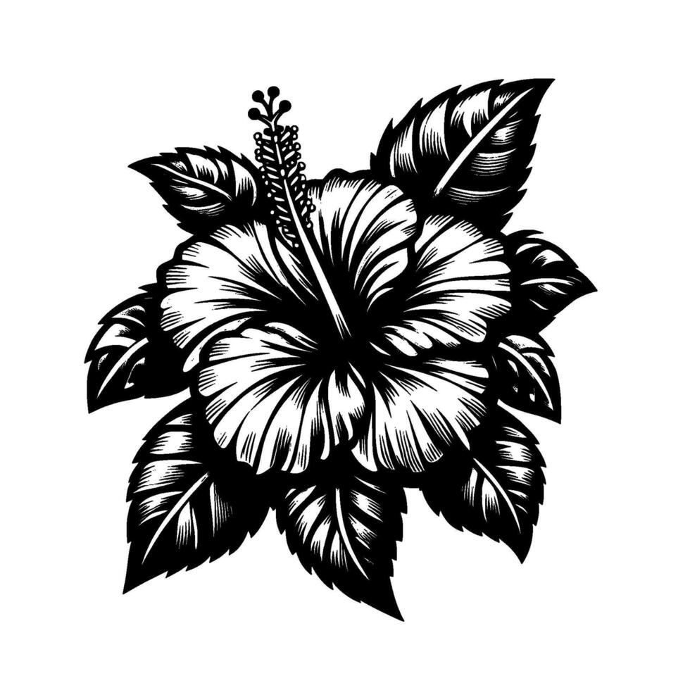 Bold black and white illustration of a blooming hibiscus flower with intricately detailed petals and leaves on white background. vector