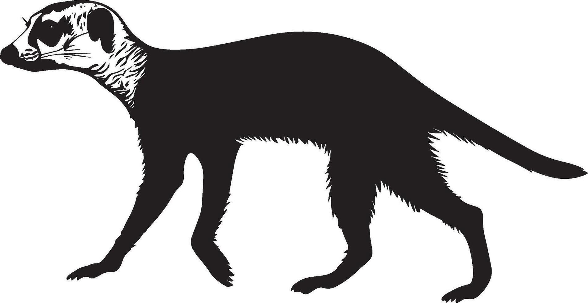 Meerkat in Motion Body close to the ground, walking on all fours with its tail extended behind. Full-length silhouette black design. vector