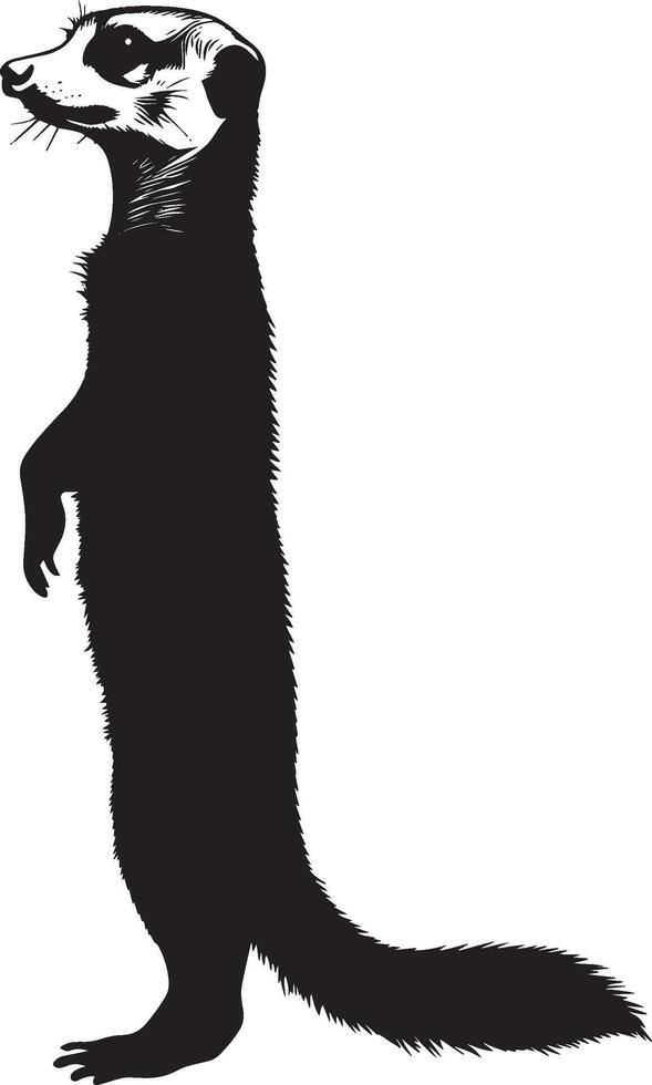 Meerkat Standing Body upright with front legs raised, head looking around, tail straight and alert. full length silhouette black illustration vector
