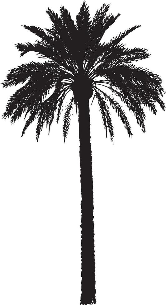 Palm Tree with Vertical and Horizontal Fronds Tall trunk with fronds fanning outward in a horizontal or slightly upward position. full length silhouette black illustration vector