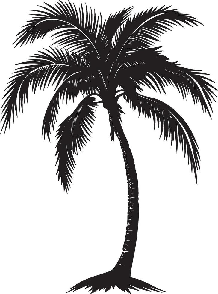 Palm Tree with Drooping Fronds Trunk upright with fronds hanging low, creating a soft and drooping appearance. full length silhouette black illustration vector