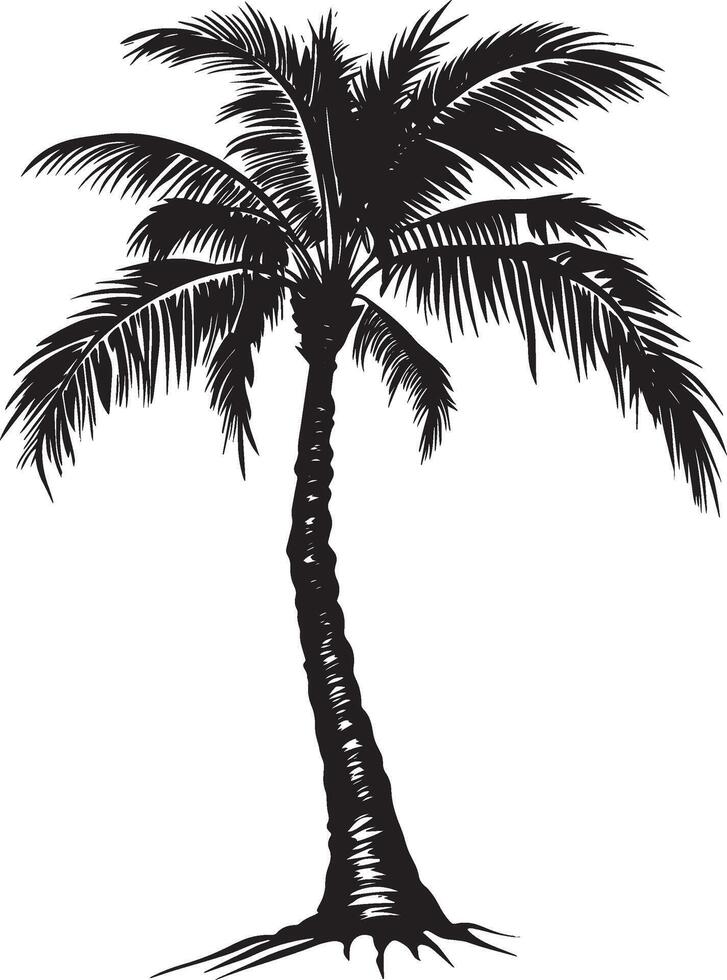 Upright Palm Tree with Cascading Fronds A straight trunk supporting low-hanging leaves, giving a gentle and drooping look. Full-length silhouette black design. vector
