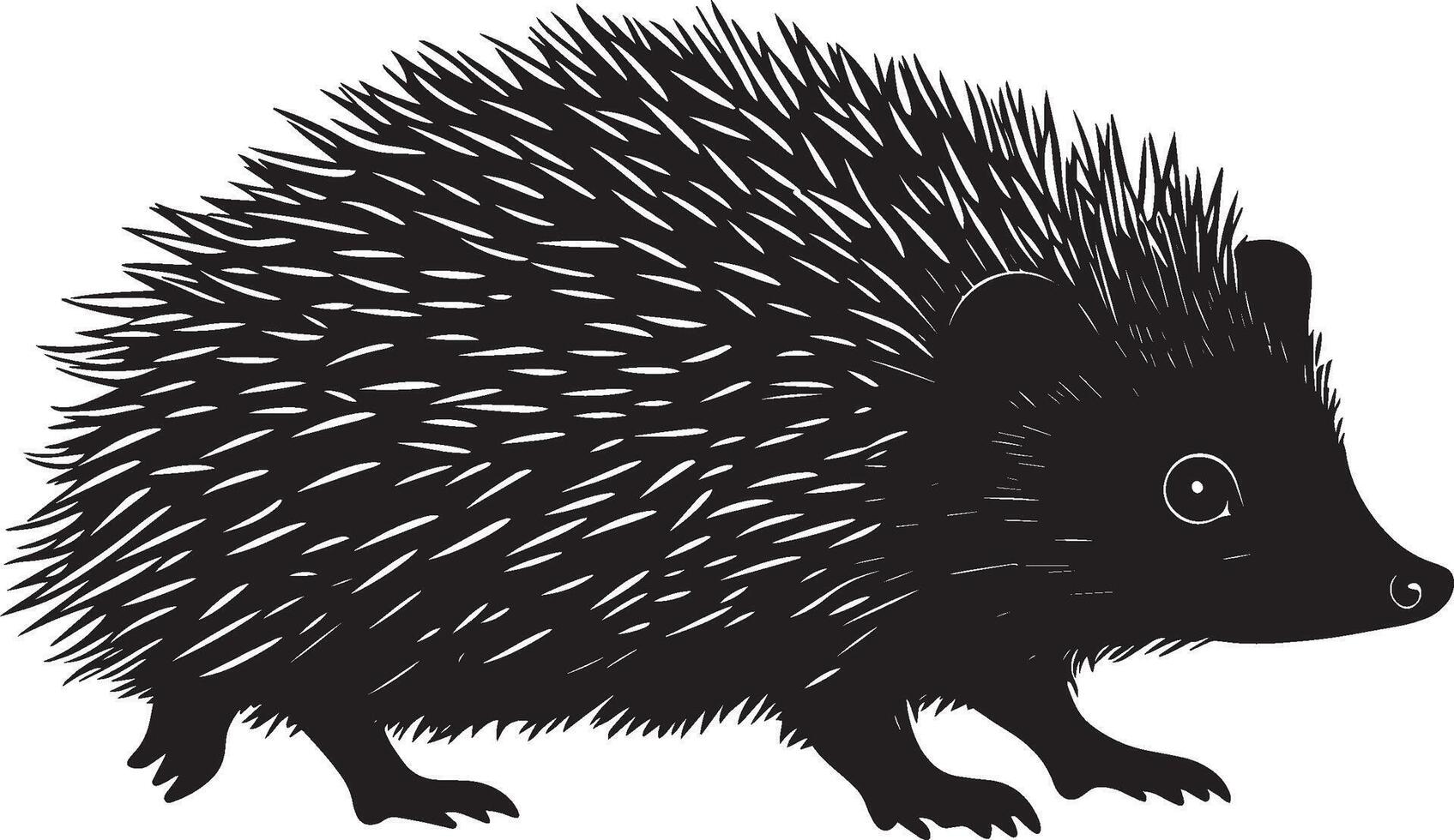 Hedgehog Exploring Body moving slowly, sniffing around in an alert and curious posture. full length silhouette black illustration vector