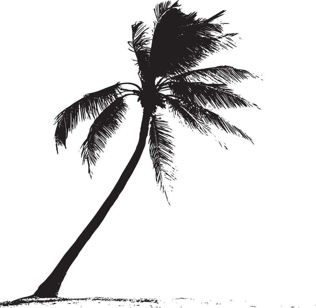 Tilted Palm Tree A trunk that leans gently to one side, with fronds extending from the top at a diagonal angle. Full-length silhouette black design. vector
