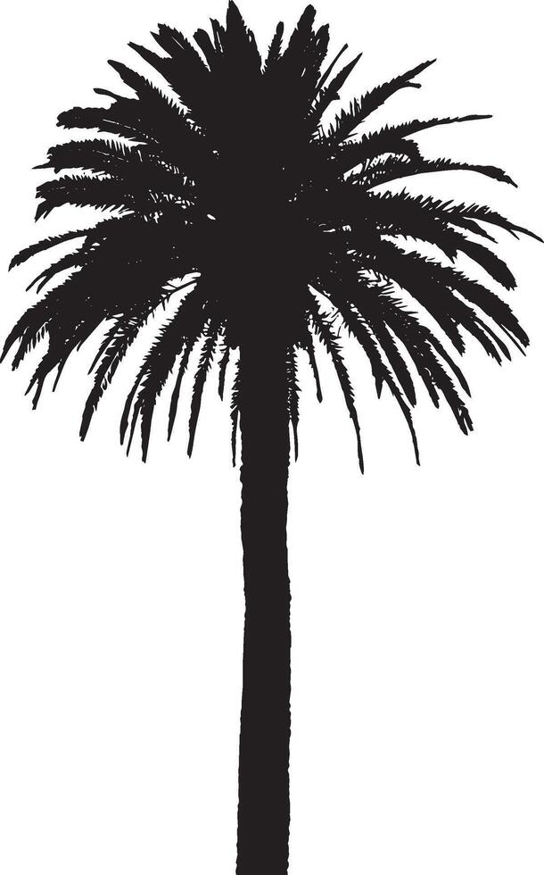 Palm Tree Standing Tall A single upright trunk with fronds extending outward at the top, reaching for the sky. full length silhouette black illustration vector