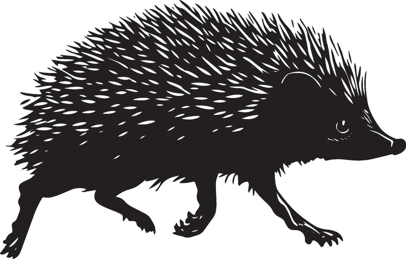 Hedgehog Sprinting A silhouette of a hedgehog with its body elongated, legs propelling it forward quickly, and tail streaming behind. Full-length silhouette black illustration. vector