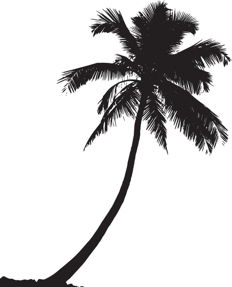 Palm Tree Leaning Trunk slightly bent or tilted to one side, with fronds extending from the top in a slanted direction. full length silhouette black illustration vector