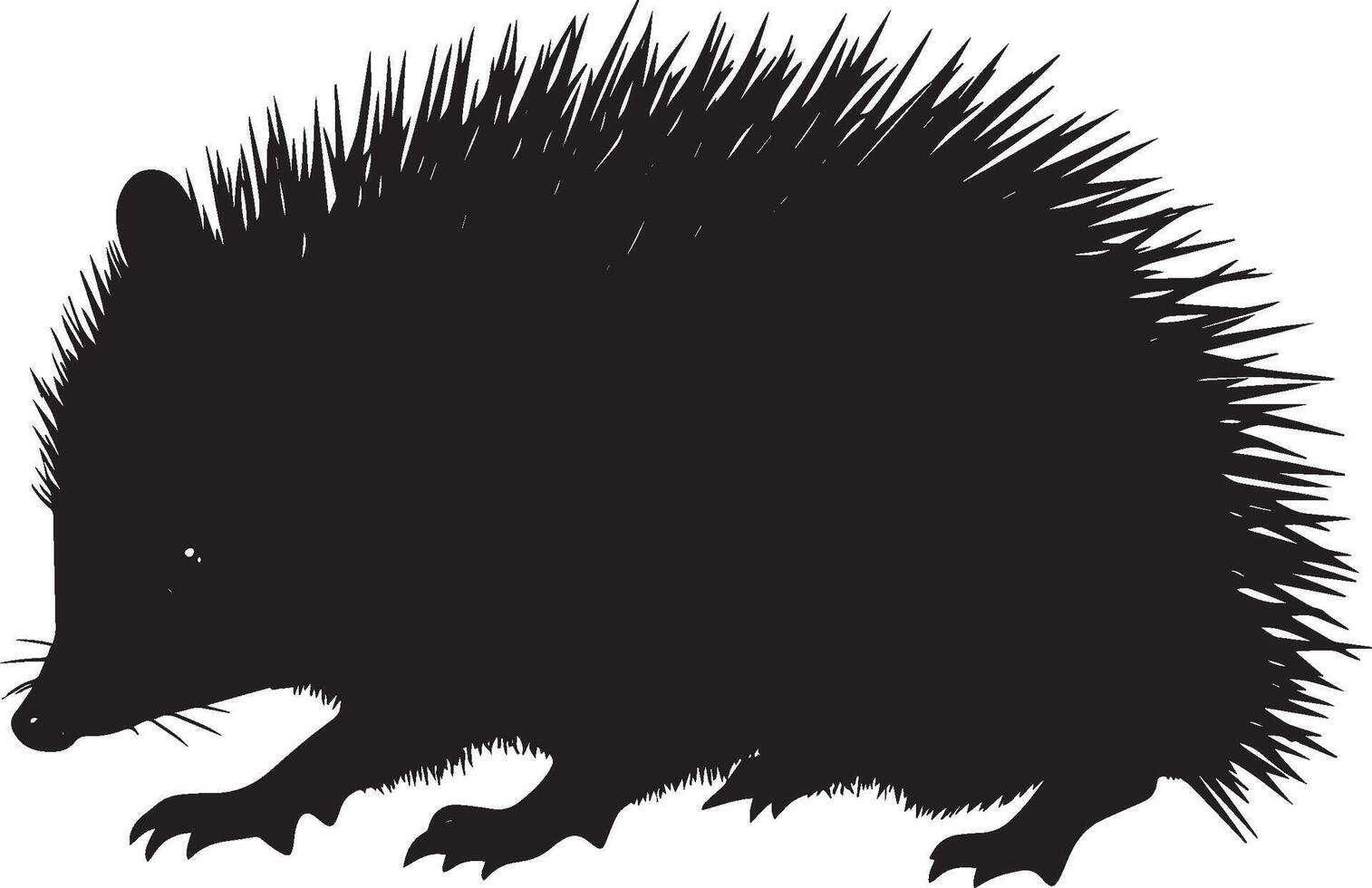 Hedgehog Sniffing Body low with snout extended, sniffing the ground for food or scent. full length silhouette black illustration vector