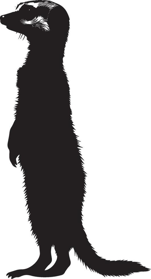 Alert Meerkat Posture A silhouette of a meerkat with its body erect, front legs lifted, and head directed towards an unusual sound or potential danger. Full-length silhouette black illustration. vector
